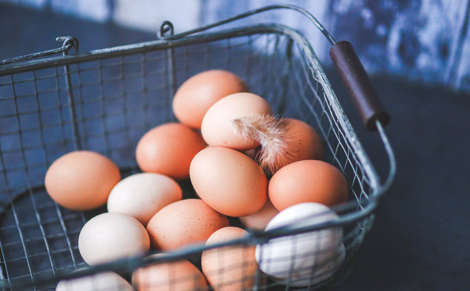 AQ Courses Poultry 3