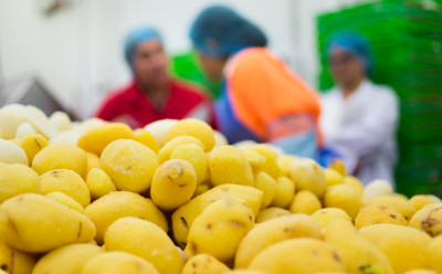 Food Manufacturing course 3 v2