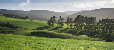 Market Assurance 450x200px v2