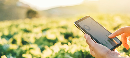 My organics 450x200px